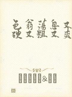 色翁荡息又大又硬又粗又爽小莹