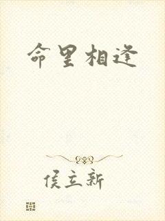 命里相逢