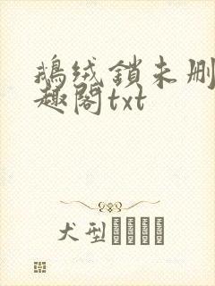 鹅绒锁未删除笔趣阁txt