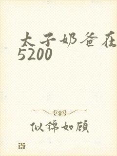 太子奶爸在花都5200