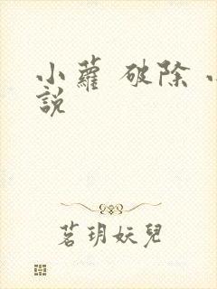小萝 破除 小说