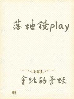 落地镜play