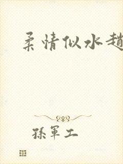 柔情似水赵雅儿