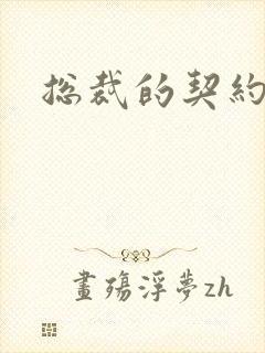 总裁的契约情人