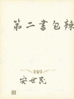 第二书包辣文