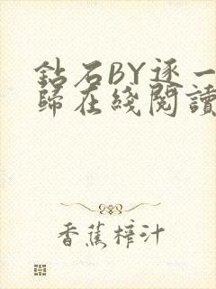 钻石BY逐一而归在线阅读