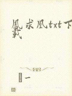 凤求凰txt下载