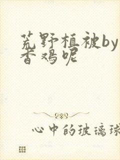 荒野植被by麦香鸡呢