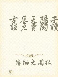 方辰天阳子的小说免费阅读