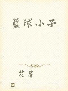 篮球小子
