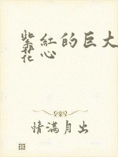 紫红的巨大顶开花心