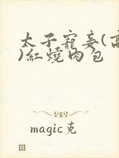 太子宠妾(高肉)红烧肉包