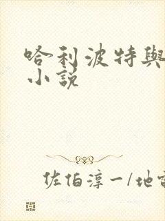 哈利波特与密室小说