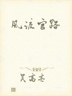 风流官路