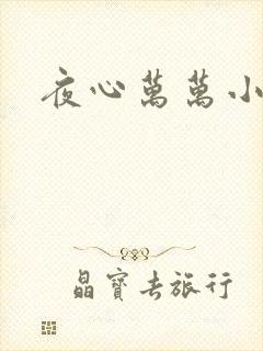 夜心万万小说
