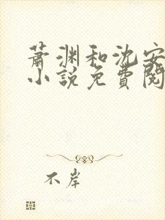 萧渊和沈安安的小说免费阅读