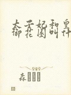 太子妃和皇帝在御花园叫什么小说