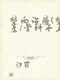 双向治疗(双/产/骨科年上)