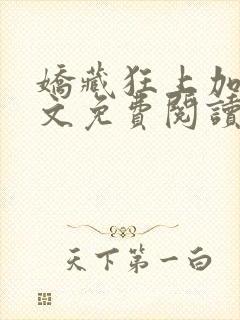 娇藏狂上加狂全文免费阅读笔趣阁