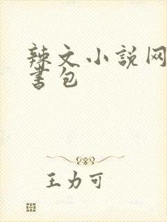 辣文小说网第二书包