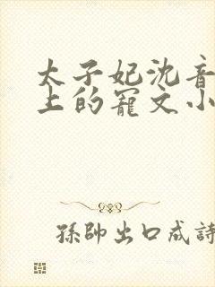 太子妃沈音和皇上的宠文小说