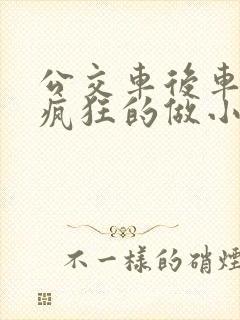 公交车后车座的疯狂的做小