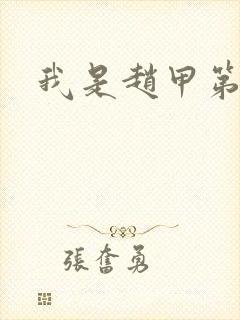 我是赵甲第小说