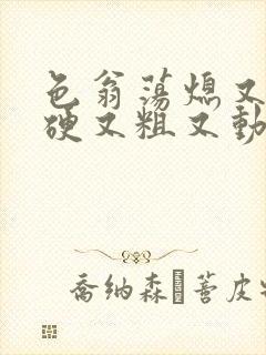 色翁荡熄又大又硬又粗又动态图