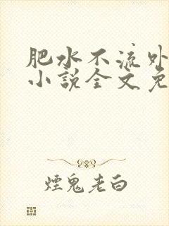 肥水不流外人田小说全文免费阅读1