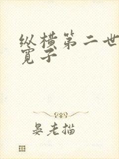 纵横第二世界 宽子