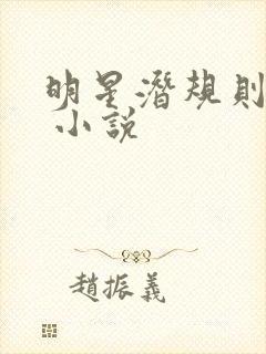 明星潜规则之皇 小说