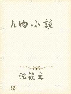 h肉小说
