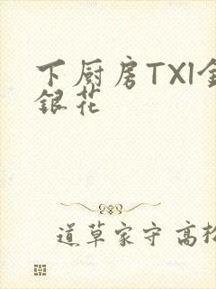 下厨房TXl金银花