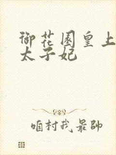 御花园皇上撞着太子妃