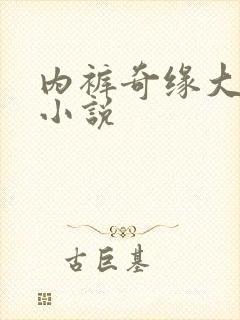 内裤奇缘大团结小说