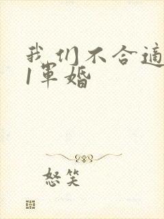 我们不合适1v1军婚