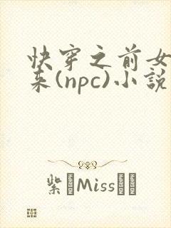 快穿之前女友归来(npc)小说免费阅读