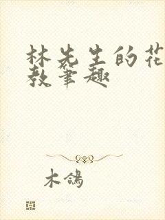 林先生的花式管教笔趣