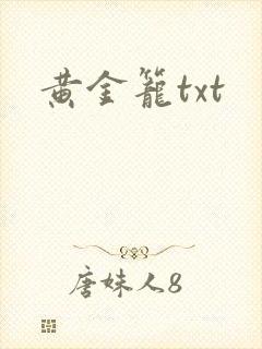 黄金笼txt