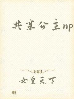 共享公主npc