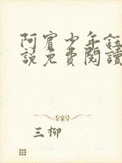 阿宾少年钰慧小说免费阅读笔趣阁