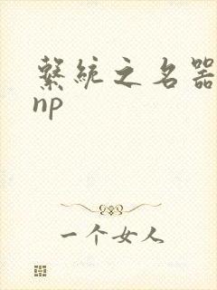 系统之名器攻略np