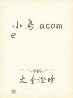 小鸟 acome