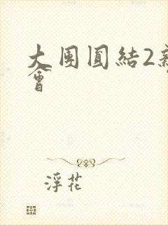 大团圆结2亲情会