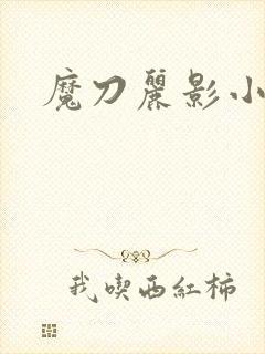 魔刀丽影小说