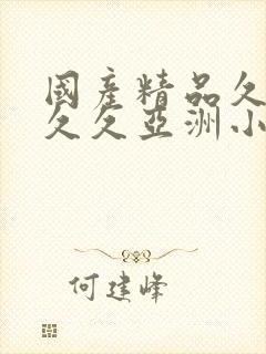 国产精品久久久久久亚洲小说