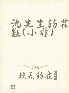 沈先生的花式调数(小非)