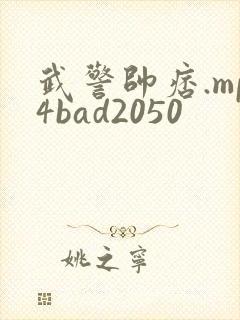 武警帅痞.mp4bad2050