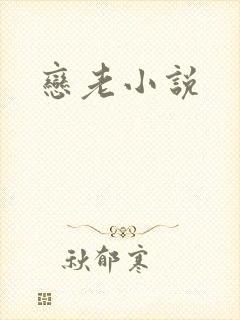 恋老小说