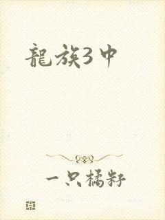 龙族3中